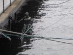 norvegia-oslo-018.jpg