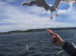 norvegia-oslo-064.jpg