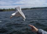 norvegia-oslo-066.jpg
