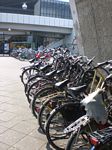 amsterdam-2009-25